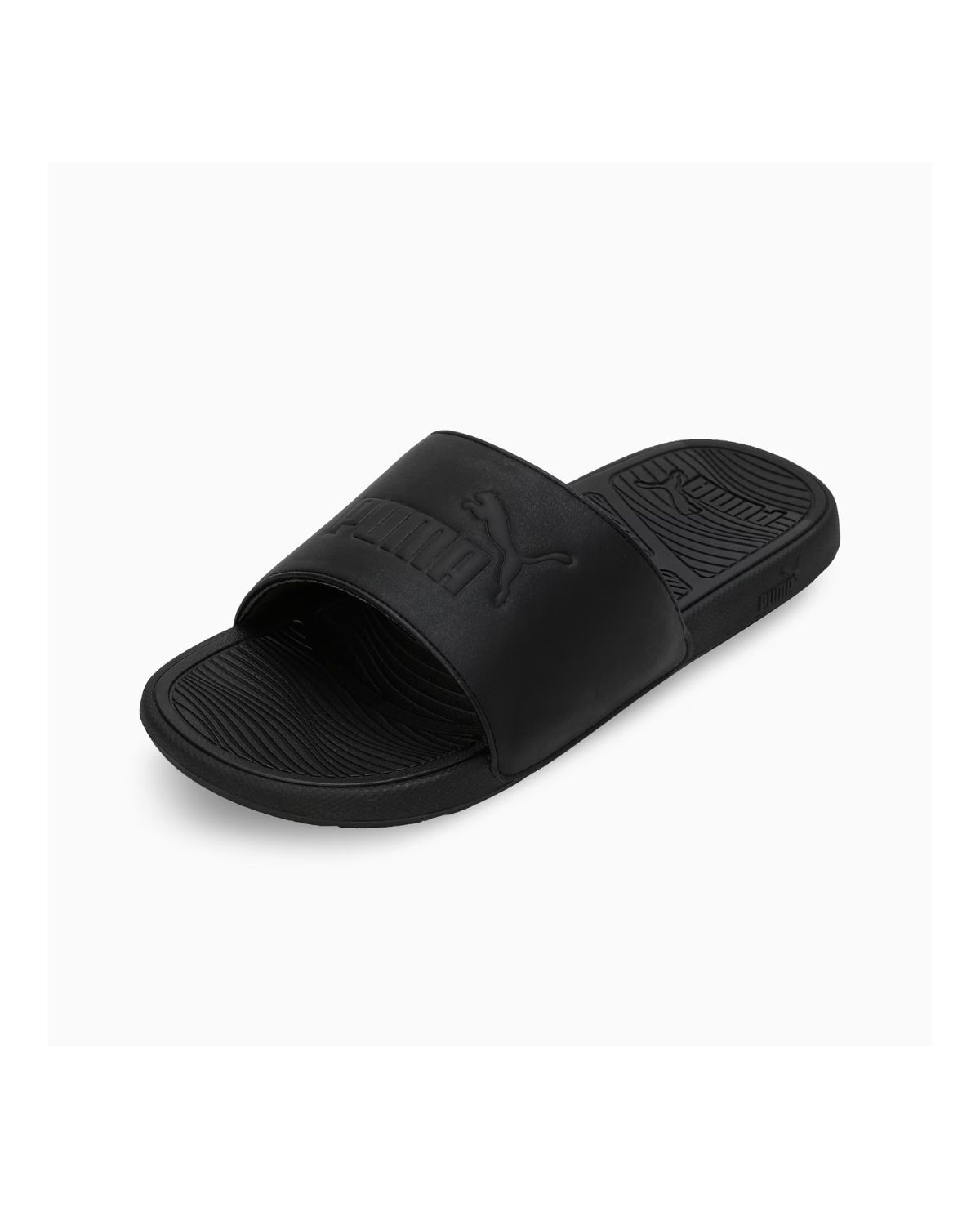 Cool Cat 2.0 Slides