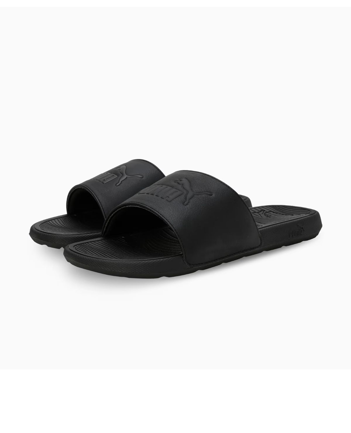 Cool Cat 2.0 Slides