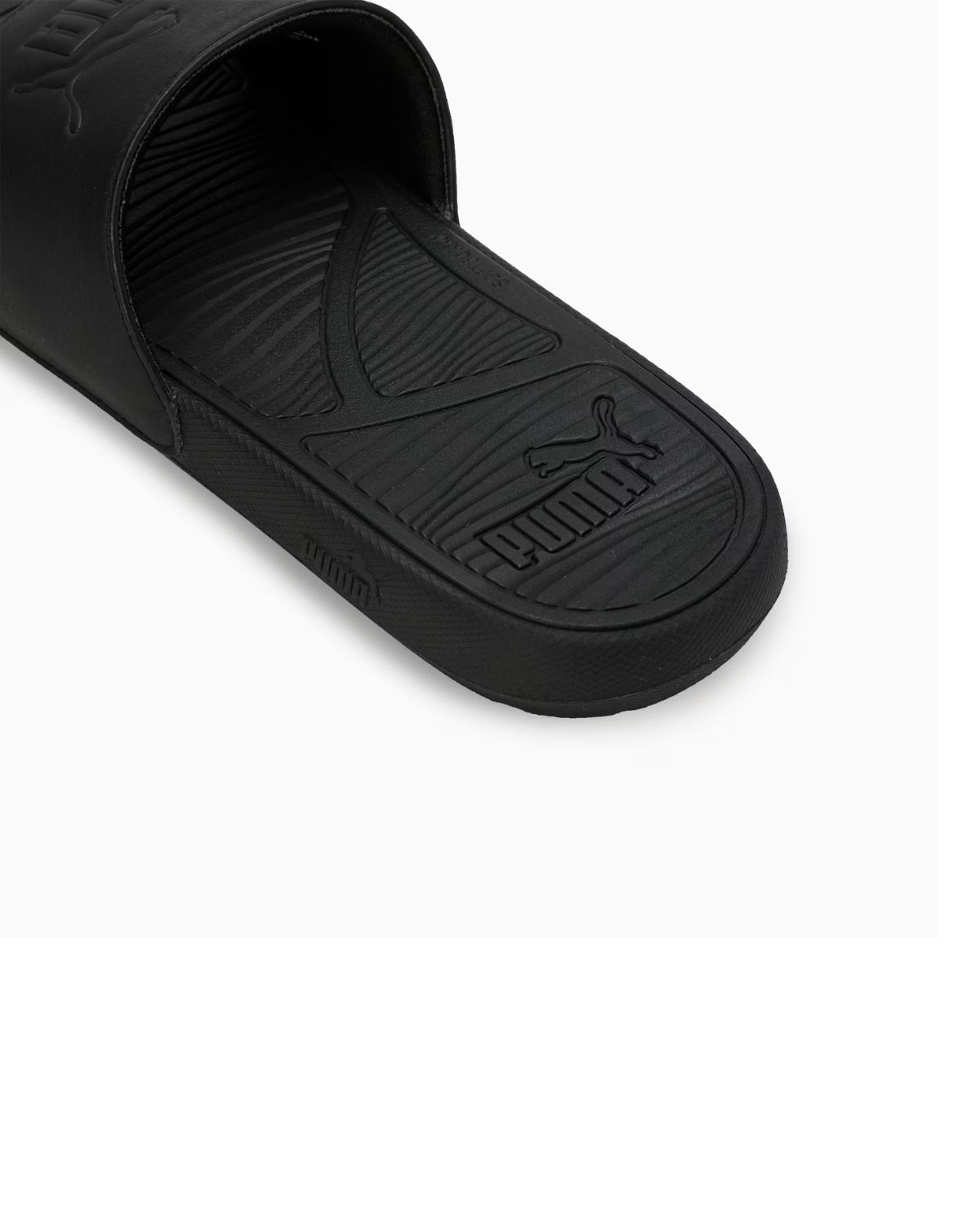 Cool Cat 2.0 Slides